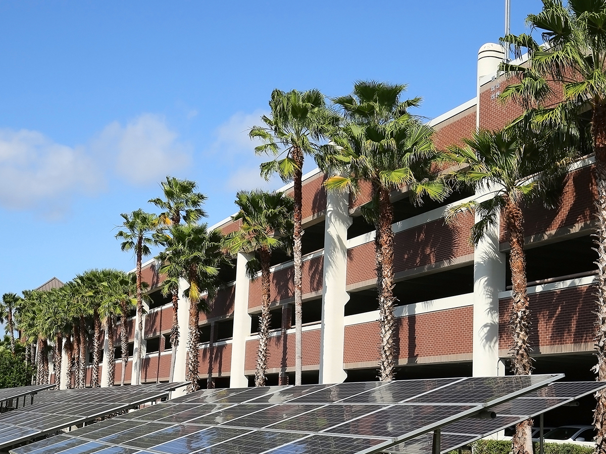 nice parking garage with palm trees